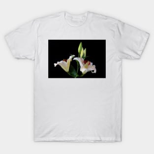 Sonata Lilies Still life T-Shirt